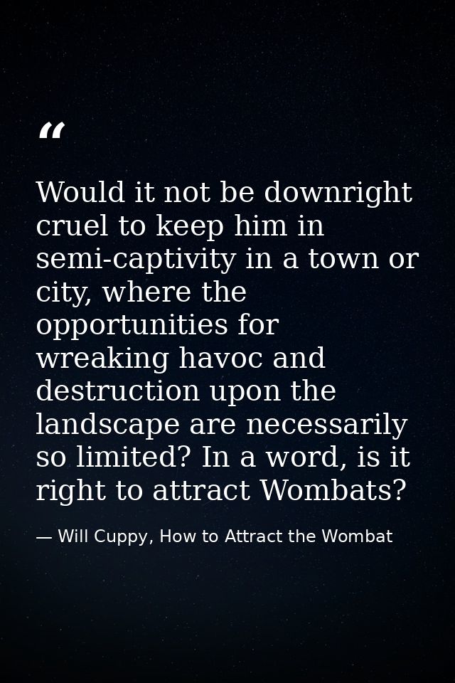 Would it not be downright cruel to keep him in semi-captivity in a town or city, where the opportunities for wreaking ha — Will Cuppy, How to Attract the Wombat