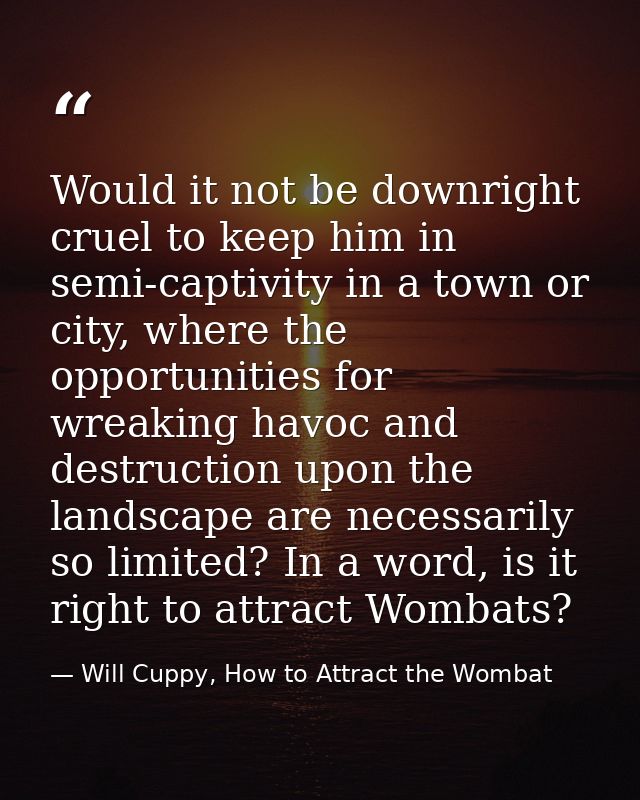 Would it not be downright cruel to keep him in semi-captivity in a town or city, where the opportunities for wreaking ha — Will Cuppy, How to Attract the Wombat