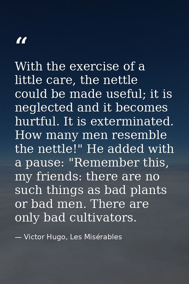With the exercise of a little care, the nettle could be made useful; it is neglected and it becomes hurtful. It is exter — Victor Hugo, Les Misérables