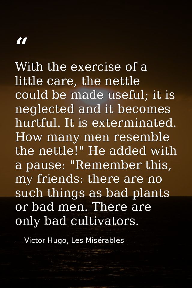 With the exercise of a little care, the nettle could be made useful; it is neglected and it becomes hurtful. It is exter — Victor Hugo, Les Misérables