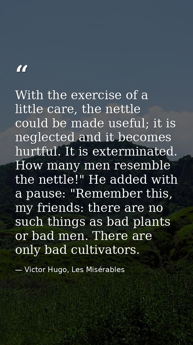 With the exercise of a little care, the nettle could be made useful; it is neglected and it becomes hurtful. It is exter — Victor Hugo, Les Misérables