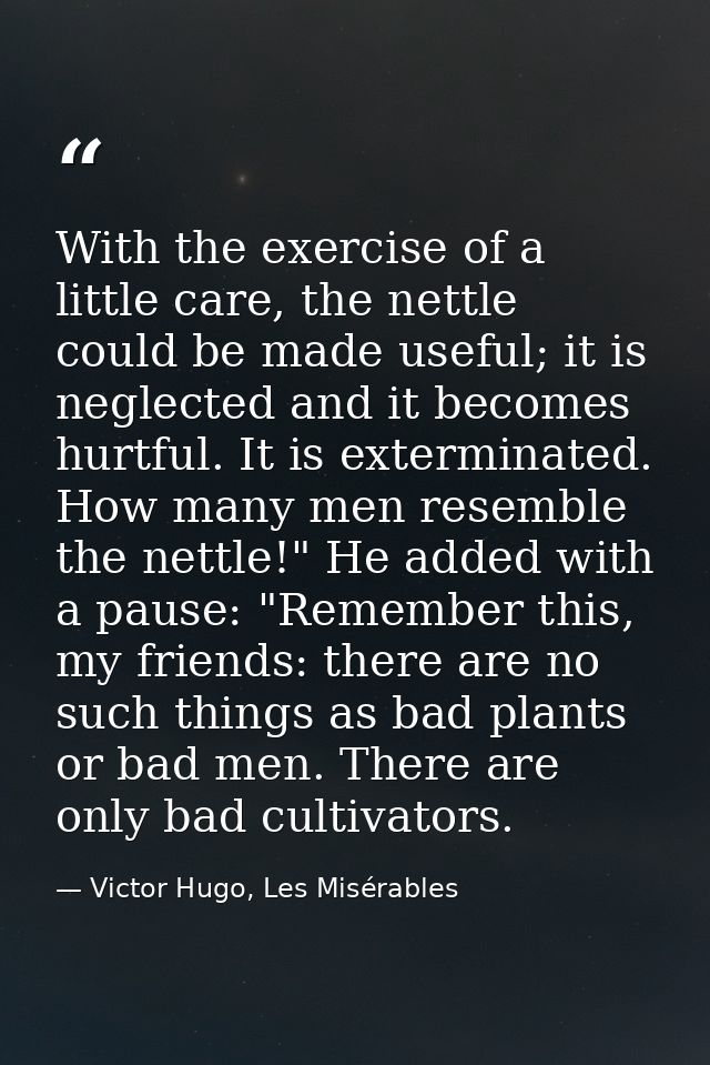 With the exercise of a little care, the nettle could be made useful; it is neglected and it becomes hurtful. It is exter — Victor Hugo, Les Misérables