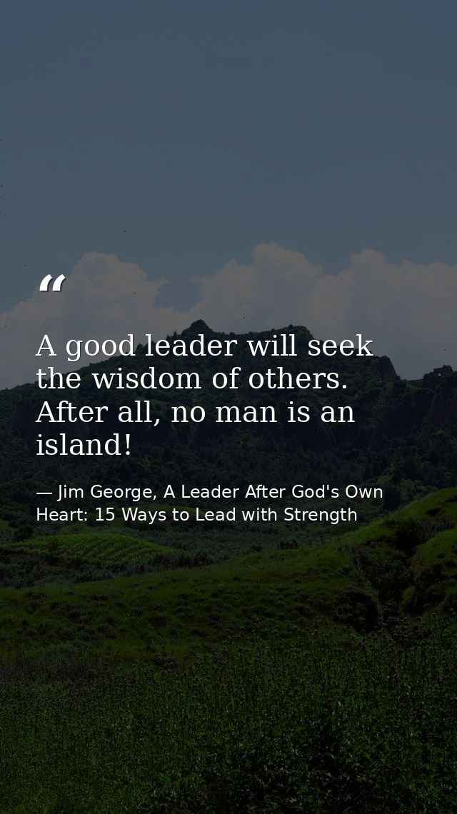 A good leader will seek the wisdom of others. After all, no man is an island! — Jim George, A Leader After God's Own Heart: 15 Ways to Lead with Strength