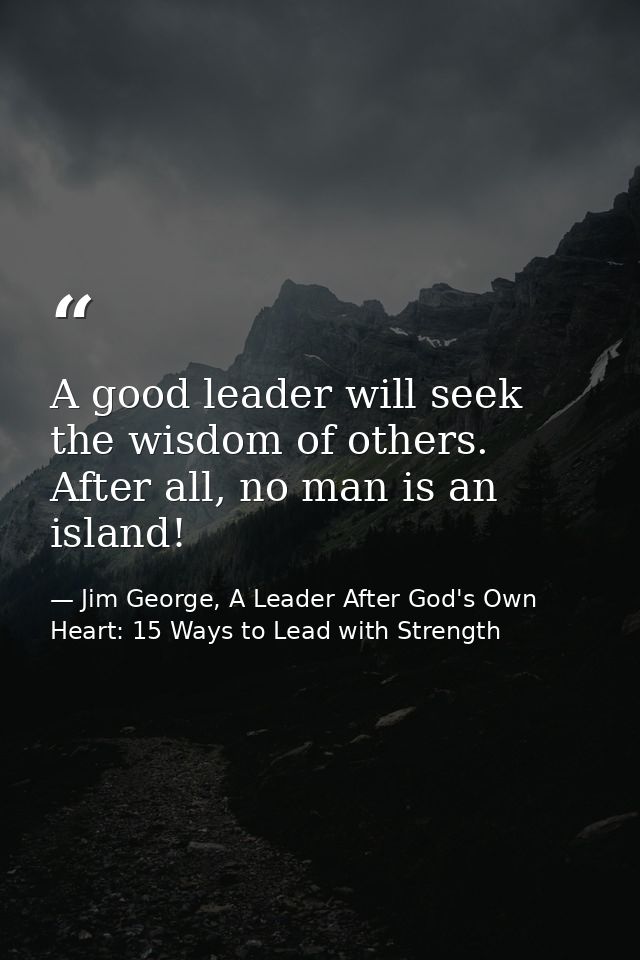 A good leader will seek the wisdom of others. After all, no man is an island! — Jim George, A Leader After God's Own Heart: 15 Ways to Lead with Strength