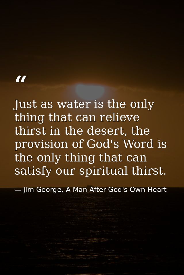 Just as water is the only thing that can relieve thirst in the desert, the provision of God's Word is the only thing tha — Jim George, A Man After God's Own Heart