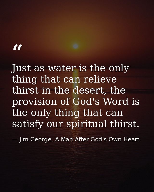 Just as water is the only thing that can relieve thirst in the desert, the provision of God's Word is the only thing tha — Jim George, A Man After God's Own Heart