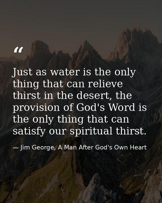 Just as water is the only thing that can relieve thirst in the desert, the provision of God's Word is the only thing tha — Jim George, A Man After God's Own Heart
