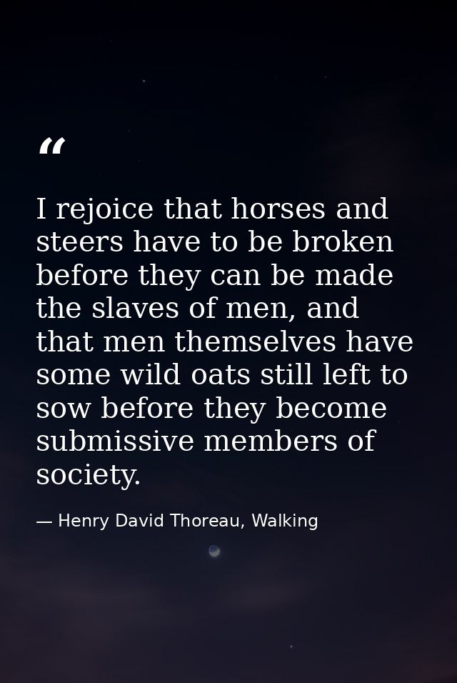 I rejoice that horses and steers have to be broken before they can be made the slaves of men, and that men themselves ha — Henry David Thoreau, Walking