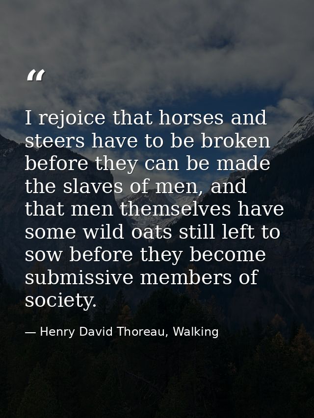 I rejoice that horses and steers have to be broken before they can be made the slaves of men, and that men themselves ha — Henry David Thoreau, Walking