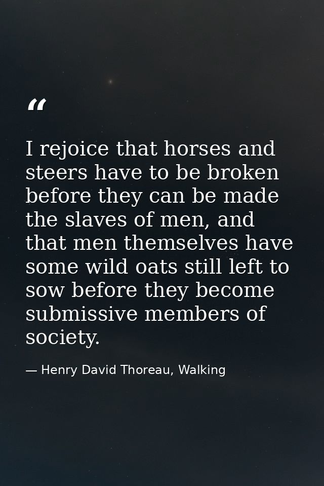 I rejoice that horses and steers have to be broken before they can be made the slaves of men, and that men themselves ha — Henry David Thoreau, Walking