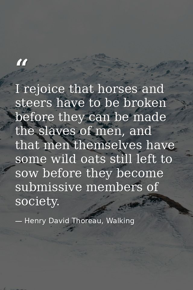 I rejoice that horses and steers have to be broken before they can be made the slaves of men, and that men themselves ha — Henry David Thoreau, Walking