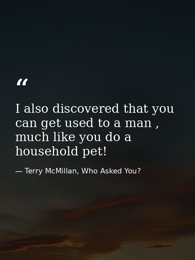 I also discovered that you can get used to a man , much like you do a household pet! — Terry McMillan, Who Asked You?