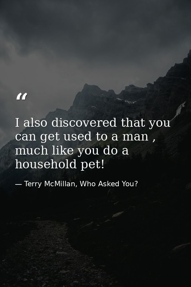 I also discovered that you can get used to a man , much like you do a household pet! — Terry McMillan, Who Asked You?