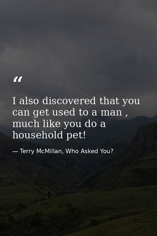 I also discovered that you can get used to a man , much like you do a household pet! — Terry McMillan, Who Asked You?