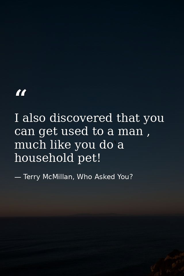 I also discovered that you can get used to a man , much like you do a household pet! — Terry McMillan, Who Asked You?