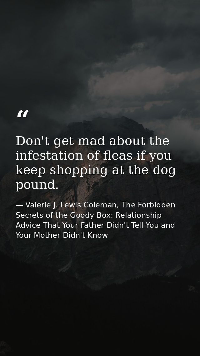 Don't get mad about the infestation of fleas if you keep shopping at the dog pound. — Valerie J. Lewis Coleman, The Forbidden Secrets of the Goody Box: Relationship Advice That Your Father Didn't Tell You and Your Mother Didn't Know