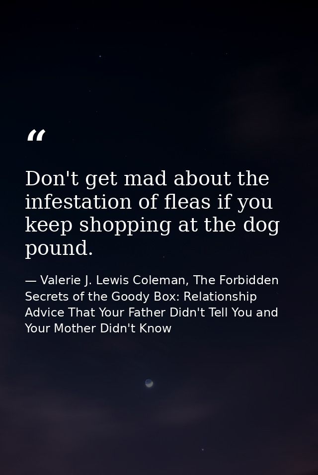 Don't get mad about the infestation of fleas if you keep shopping at the dog pound. — Valerie J. Lewis Coleman, The Forbidden Secrets of the Goody Box: Relationship Advice That Your Father Didn't Tell You and Your Mother Didn't Know