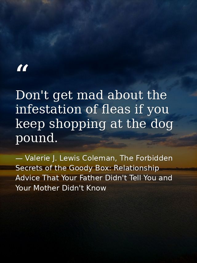 Don't get mad about the infestation of fleas if you keep shopping at the dog pound. — Valerie J. Lewis Coleman, The Forbidden Secrets of the Goody Box: Relationship Advice That Your Father Didn't Tell You and Your Mother Didn't Know