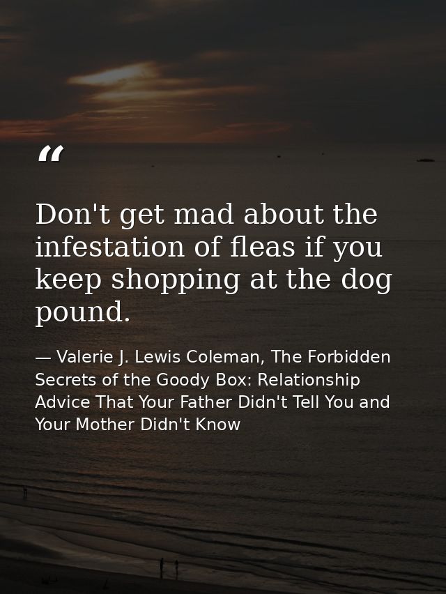Don't get mad about the infestation of fleas if you keep shopping at the dog pound. — Valerie J. Lewis Coleman, The Forbidden Secrets of the Goody Box: Relationship Advice That Your Father Didn't Tell You and Your Mother Didn't Know