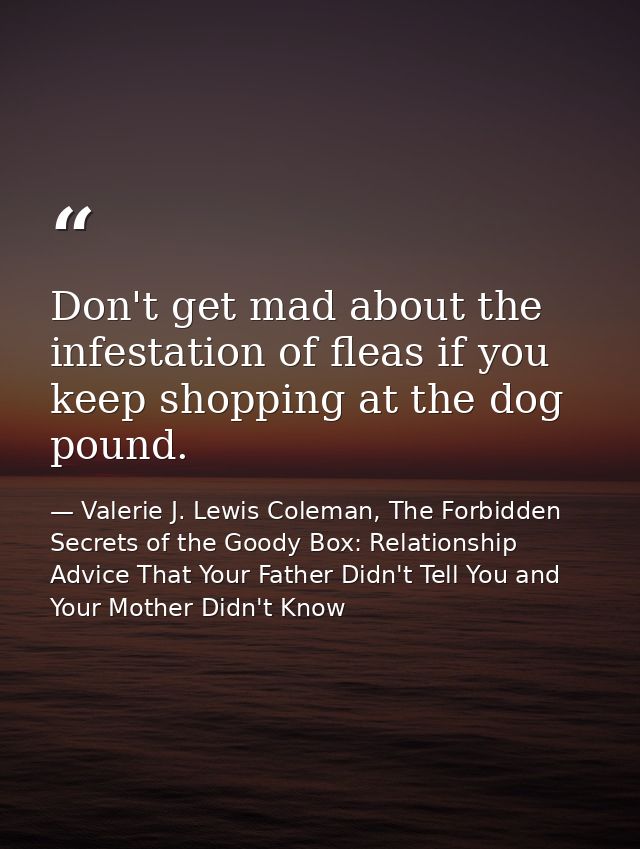 Don't get mad about the infestation of fleas if you keep shopping at the dog pound. — Valerie J. Lewis Coleman, The Forbidden Secrets of the Goody Box: Relationship Advice That Your Father Didn't Tell You and Your Mother Didn't Know