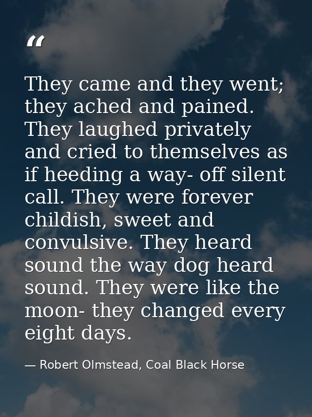 They came and they went; they ached and pained. They laughed privately and cried to themselves as if heeding a way- off  — Robert Olmstead, Coal Black Horse
