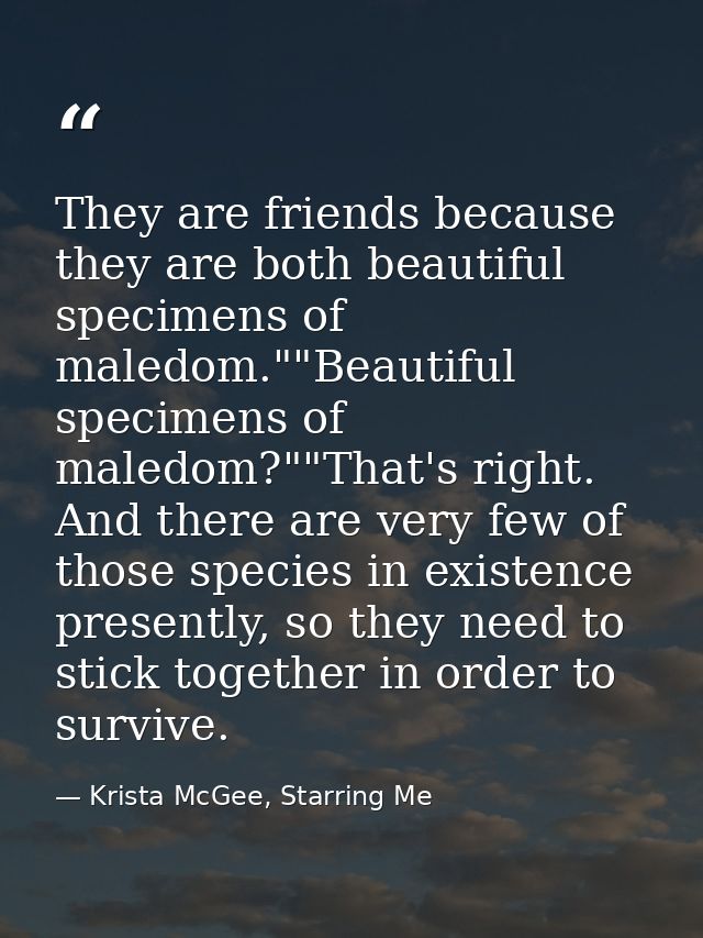 They are friends because they are both beautiful specimens of maledom.""Beautiful specimens of maledom?""That's right. A — Krista McGee, Starring Me