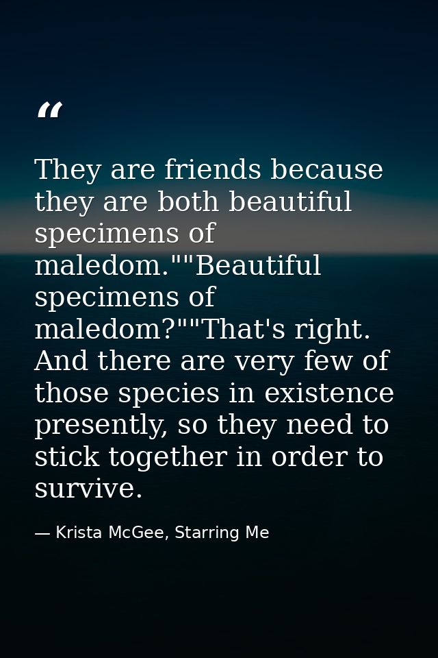 They are friends because they are both beautiful specimens of maledom.""Beautiful specimens of maledom?""That's right. A — Krista McGee, Starring Me