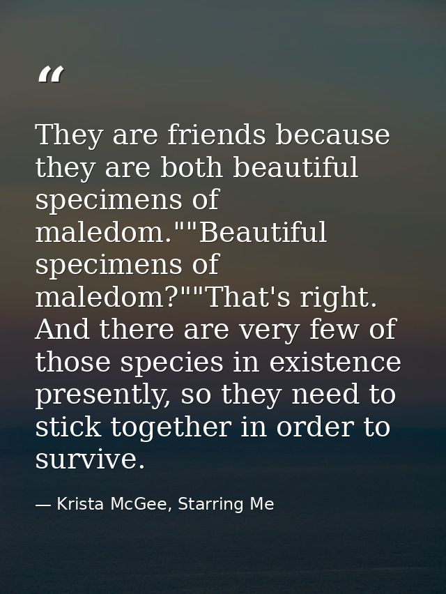 They are friends because they are both beautiful specimens of maledom.""Beautiful specimens of maledom?""That's right. A — Krista McGee, Starring Me