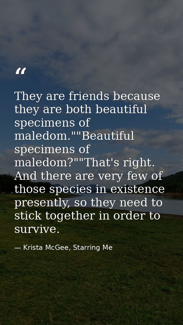 They are friends because they are both beautiful specimens of maledom.""Beautiful specimens of maledom?""That's right. A — Krista McGee, Starring Me
