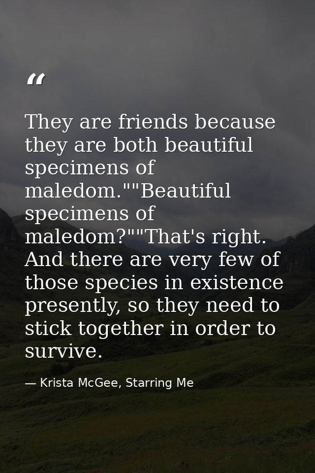 They are friends because they are both beautiful specimens of maledom.""Beautiful specimens of maledom?""That's right. A — Krista McGee, Starring Me