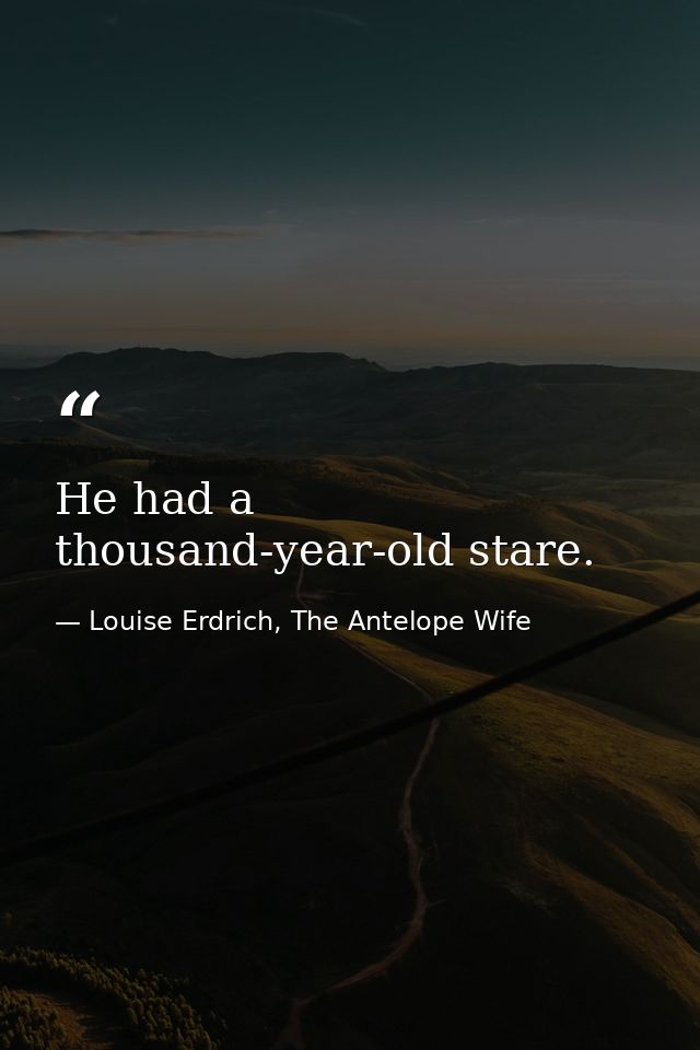 He had a thousand-year-old stare. — Louise Erdrich, The Antelope Wife