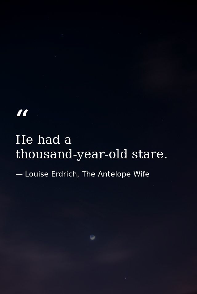 He had a thousand-year-old stare. — Louise Erdrich, The Antelope Wife