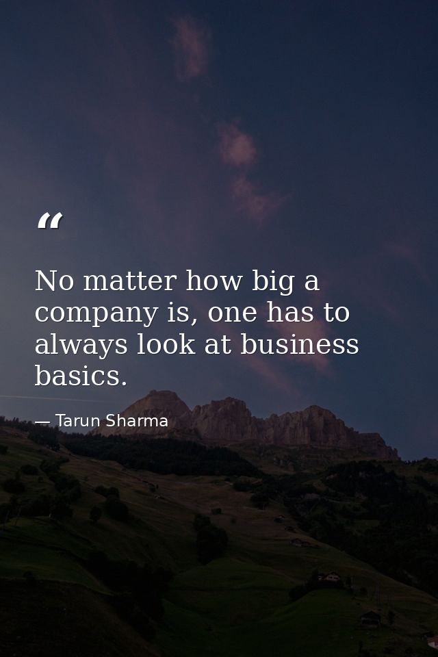 No matter how big a company is, one has to always look at business basics. — Tarun Sharma