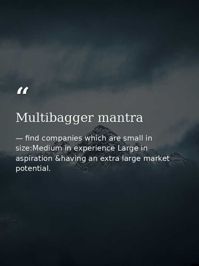 Multibagger mantra — find companies which are small in size:Medium in experience Large in aspiration &having an extra large market potential.
