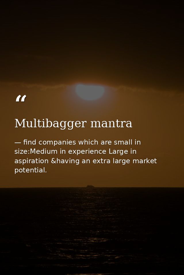 Multibagger mantra — find companies which are small in size:Medium in experience Large in aspiration &having an extra large market potential.