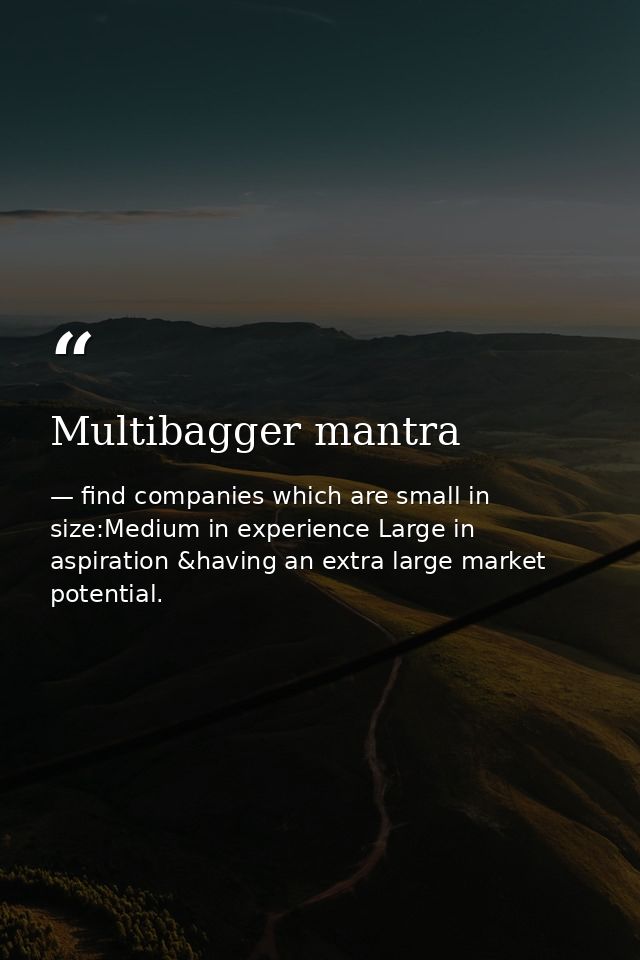 Multibagger mantra — find companies which are small in size:Medium in experience Large in aspiration &having an extra large market potential.