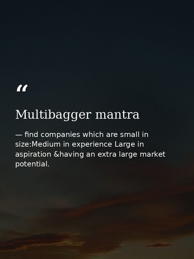 Multibagger mantra — find companies which are small in size:Medium in experience Large in aspiration &having an extra large market potential.