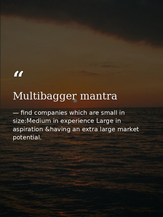 Multibagger mantra — find companies which are small in size:Medium in experience Large in aspiration &having an extra large market potential.