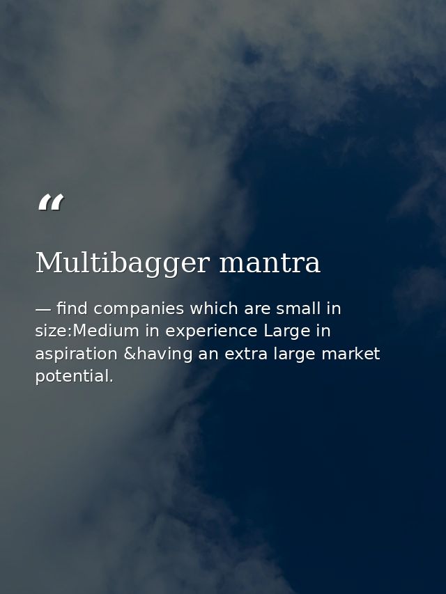 Multibagger mantra — find companies which are small in size:Medium in experience Large in aspiration &having an extra large market potential.