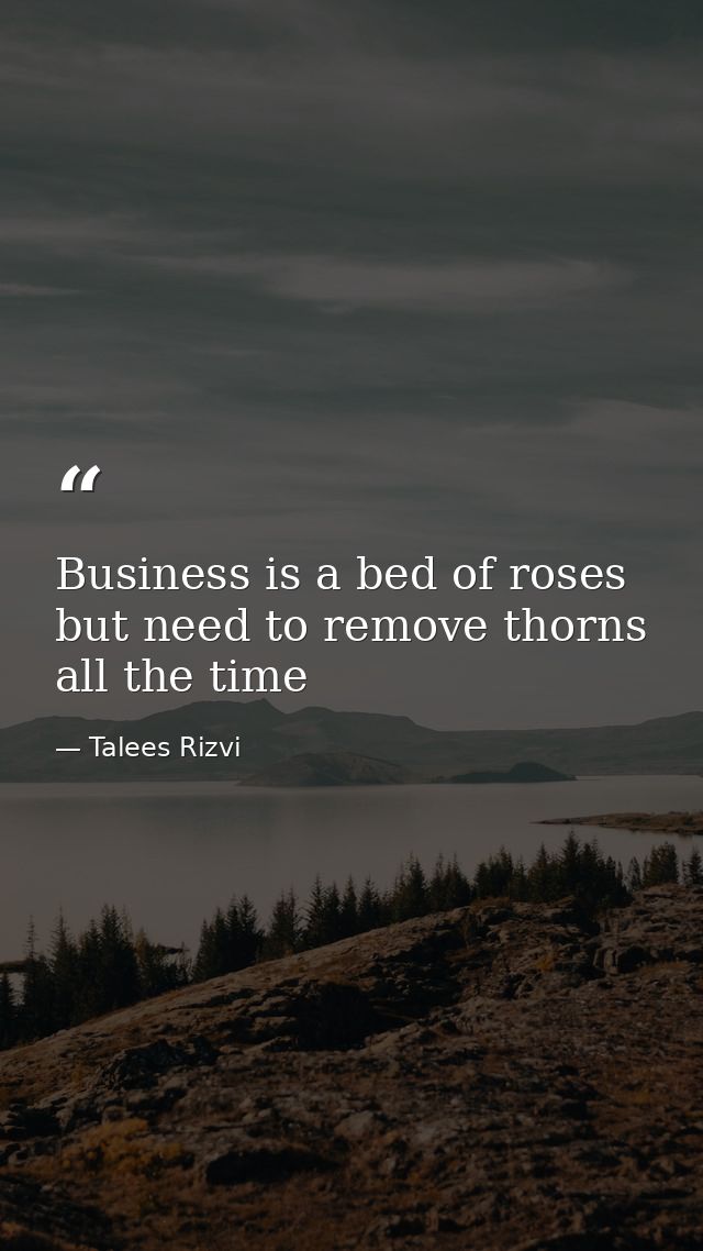 Business is a bed of roses but need to remove thorns all the time — Talees Rizvi