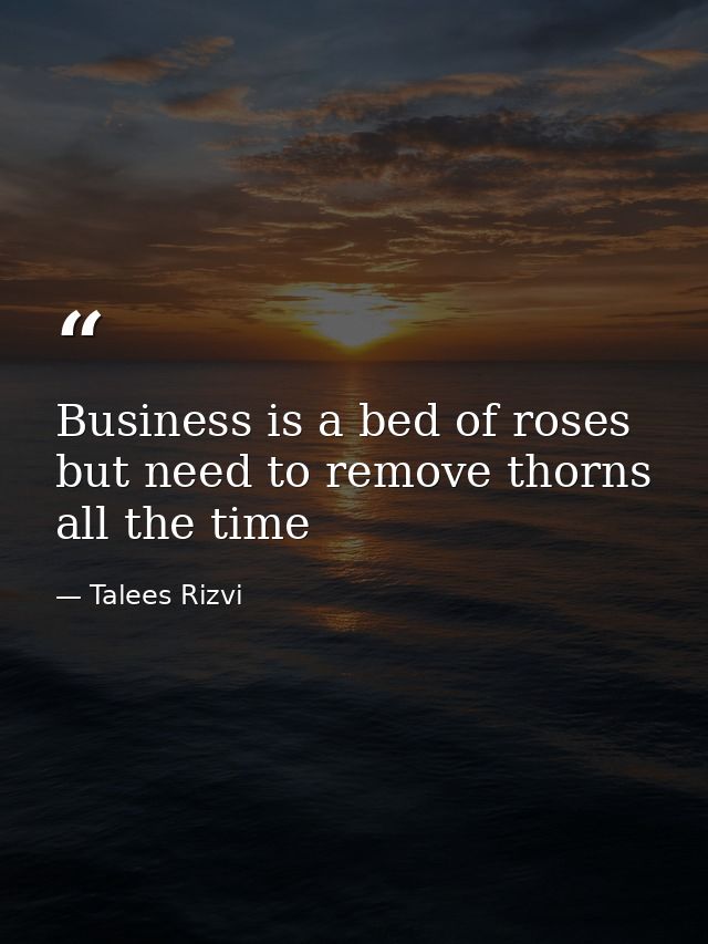 Business is a bed of roses but need to remove thorns all the time — Talees Rizvi