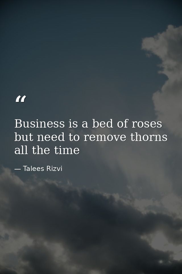 Business is a bed of roses but need to remove thorns all the time — Talees Rizvi