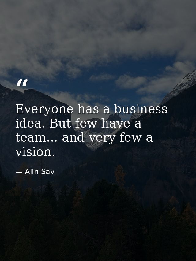 Everyone has a business idea. But few have a team... and very few a vision. — Alin Sav
