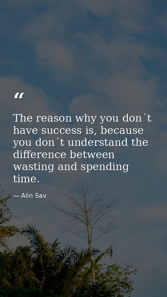 The reason why you don´t have success is, because you don´t understand the difference between wasting and spending time. — Alin Sav