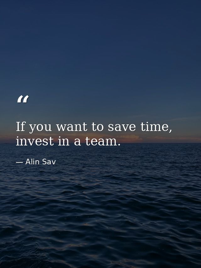 If you want to save time, invest in a team. — Alin Sav