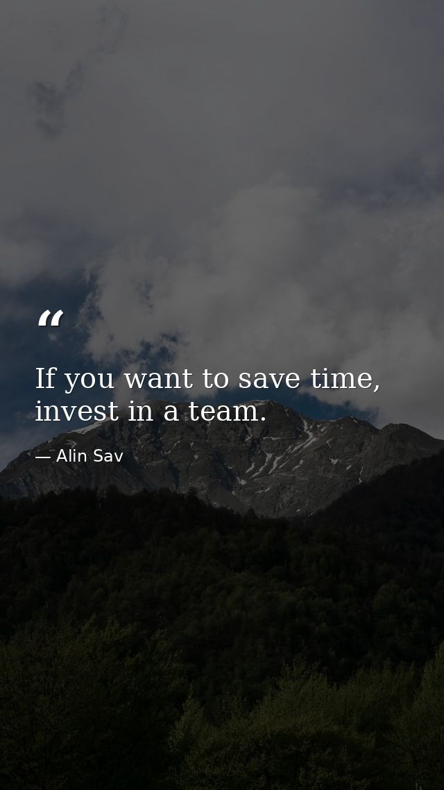 If you want to save time, invest in a team. — Alin Sav