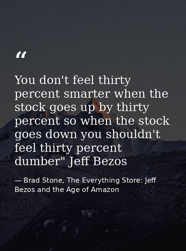 You don't feel thirty percent smarter when the stock goes up by thirty percent so when the stock goes down you shouldn't — Brad Stone, The Everything Store: Jeff Bezos and the Age of Amazon