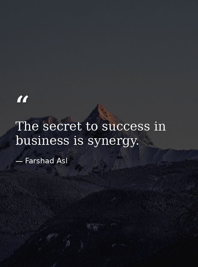 The secret to success in business is synergy. — Farshad Asl