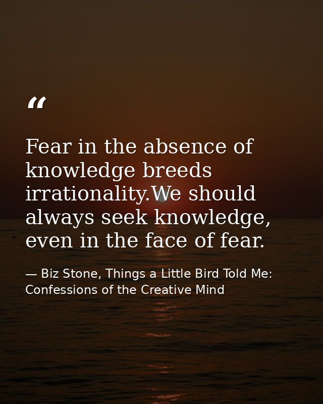 Fear in the absence of knowledge breeds irrationality.We should always seek knowledge, even in the face of fear. — Biz Stone, Things a Little Bird Told Me: Confessions of the Creative Mind