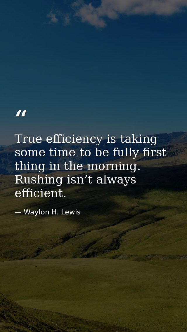 True efficiency is taking some time to be fully first thing in the morning. Rushing isn’t always efficient. — Waylon H. Lewis